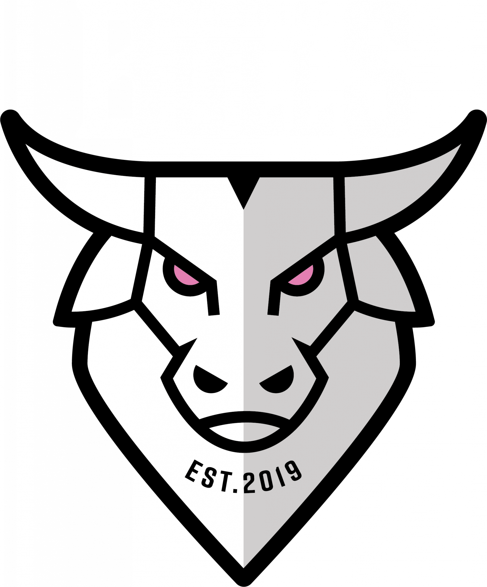 t-shirt-ayrshire-bulls-and-ayr-badges-adult-sizes-loxton-ayr