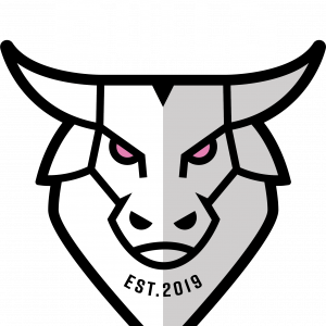 Tie - Ayrshire Bulls Tie